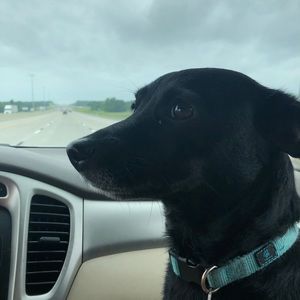 Meet your Posher, Twyla